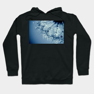 Blues in the evening Hoodie